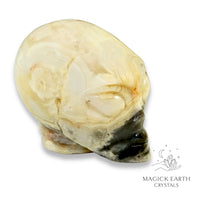 Crazy Agate  Alien For Stability & Joy