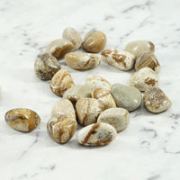 Picture Jasper  Tumbled Stones For Ancient Earth Wisdom