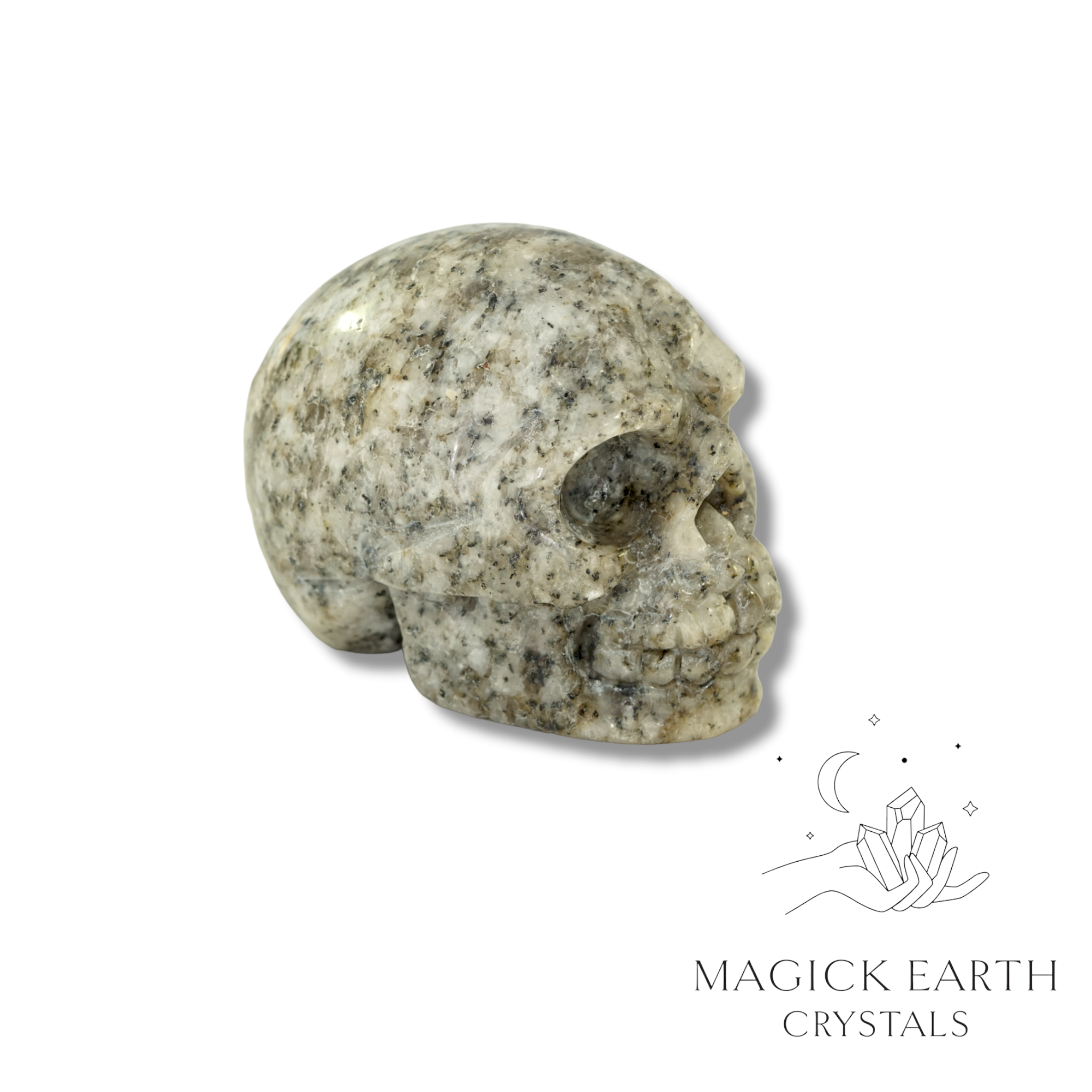 Sesame Jasper  Carved Skull  For Recovery Support