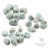 Sesame Jasper Tumbled Crystals For Recovery Support