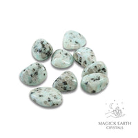 Sesame Jasper Tumbled Crystals For Recovery Support Small