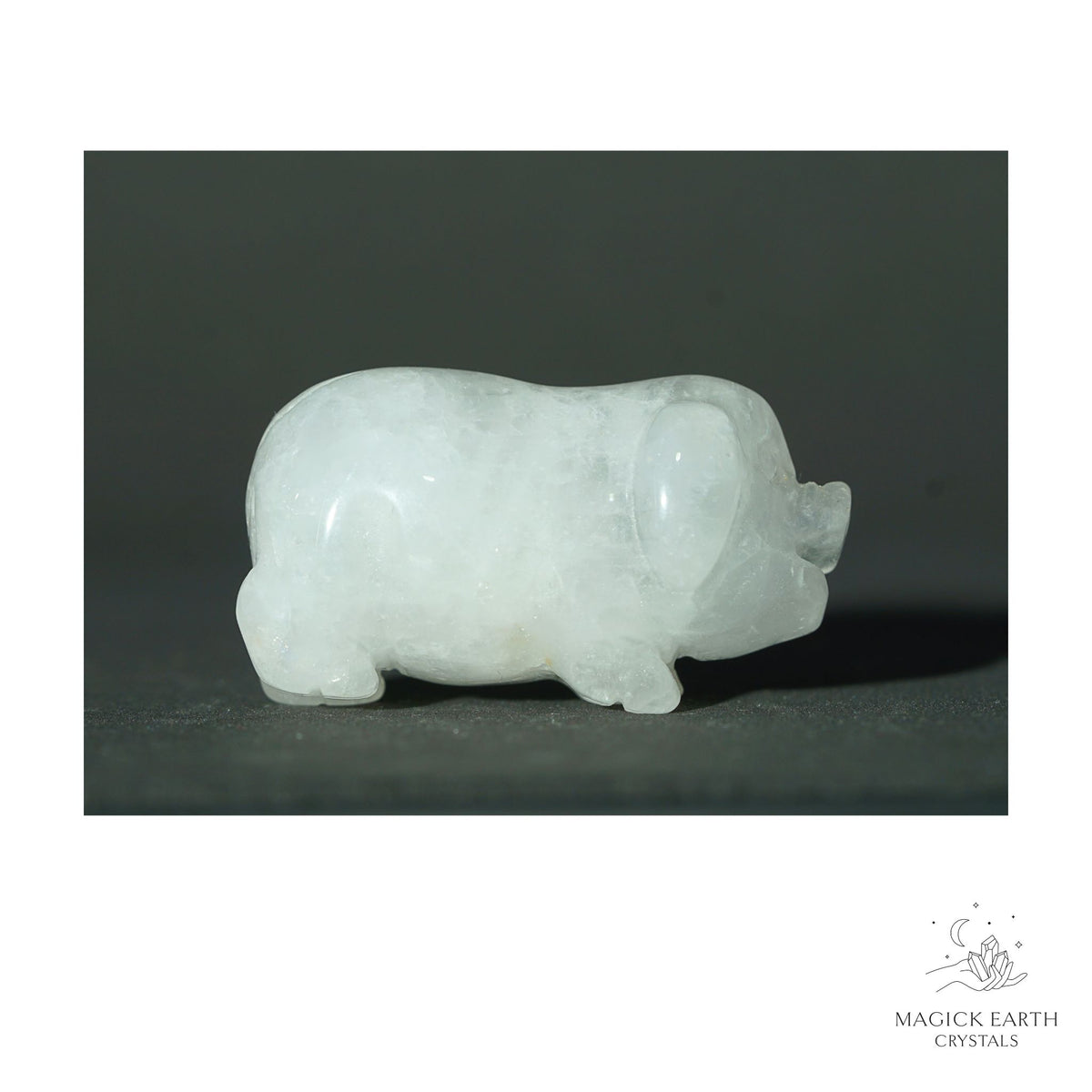 Natural Clear Quartz crystal pig figurine view a