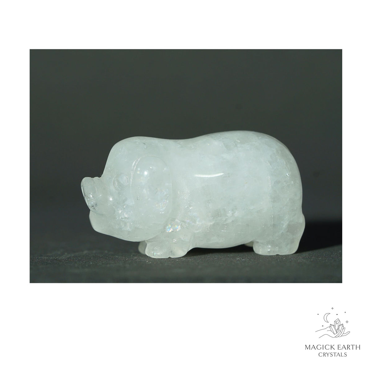 Natural Clear Quartz crystal pig figurine view b