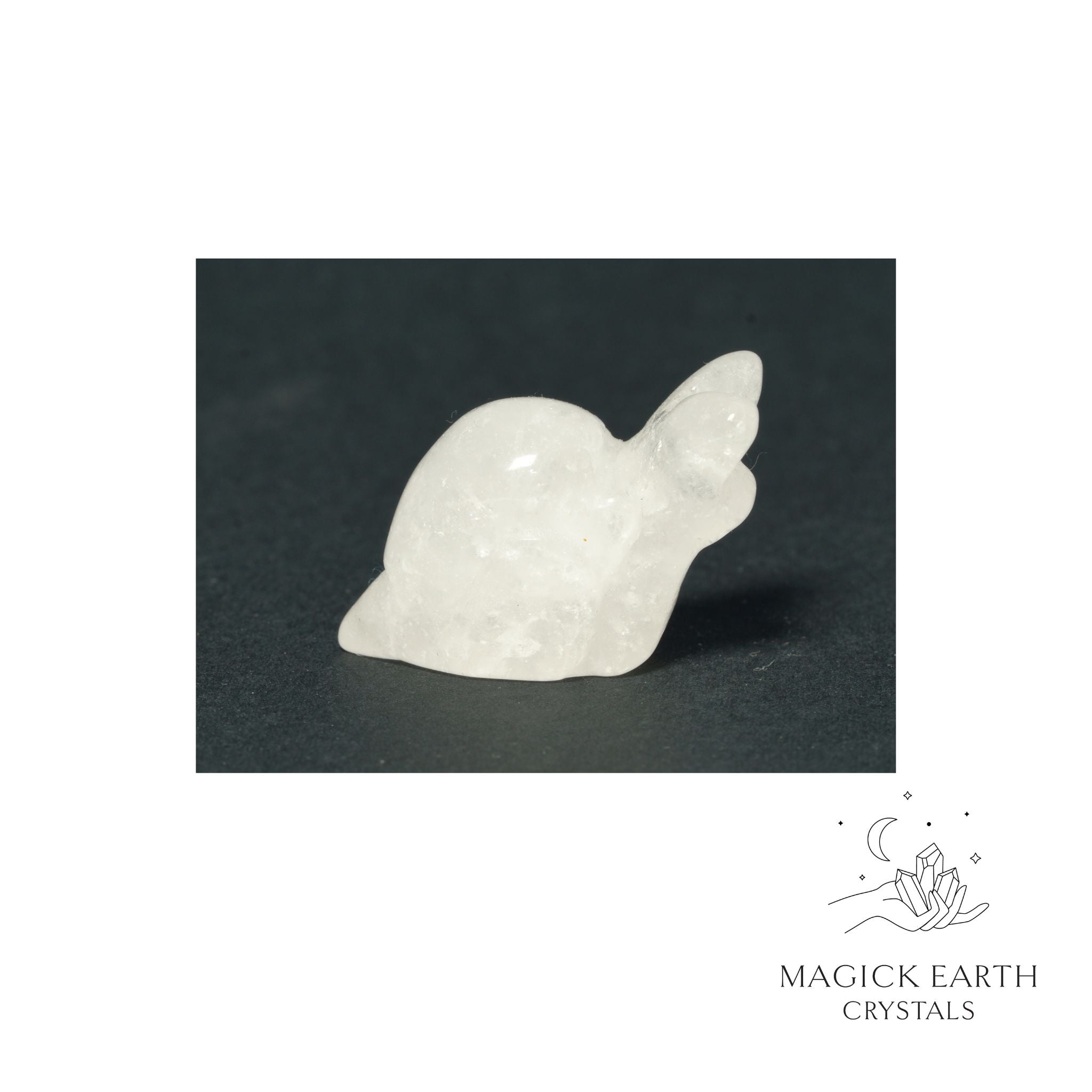 Natural Clear Quartz crystal mini snail figurine view a
