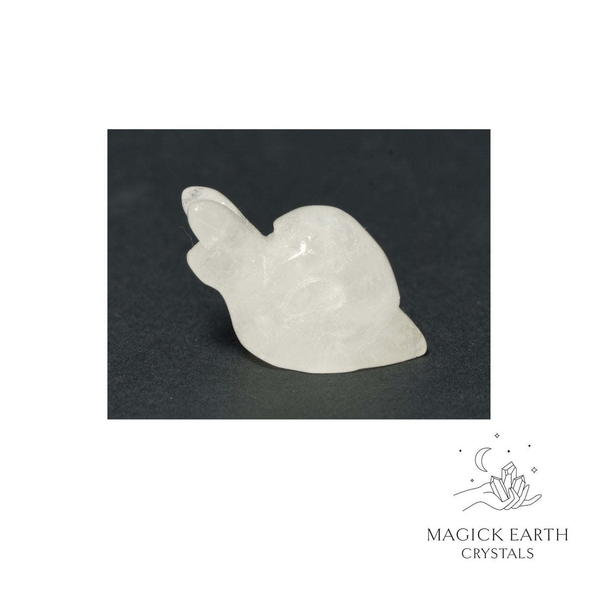 Natural Clear Quartz crystal mini snail figurine view b