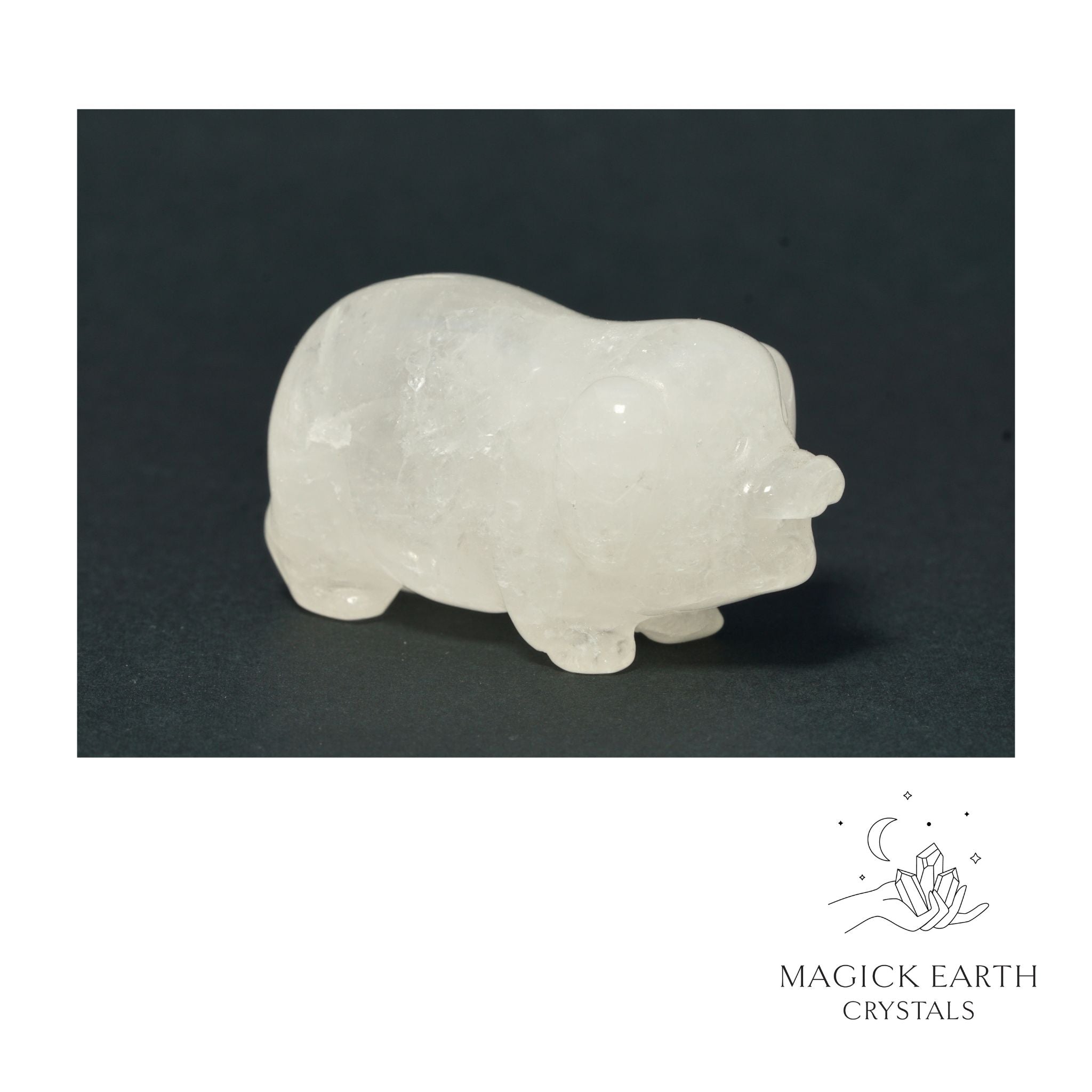 Natural Clear Quartz crystal pig figurine view a