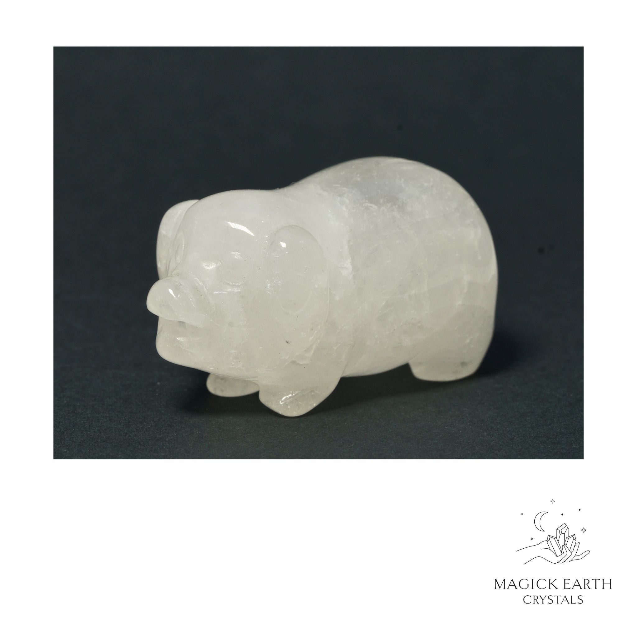 Natural Clear Quartz crystal pig figurine view b