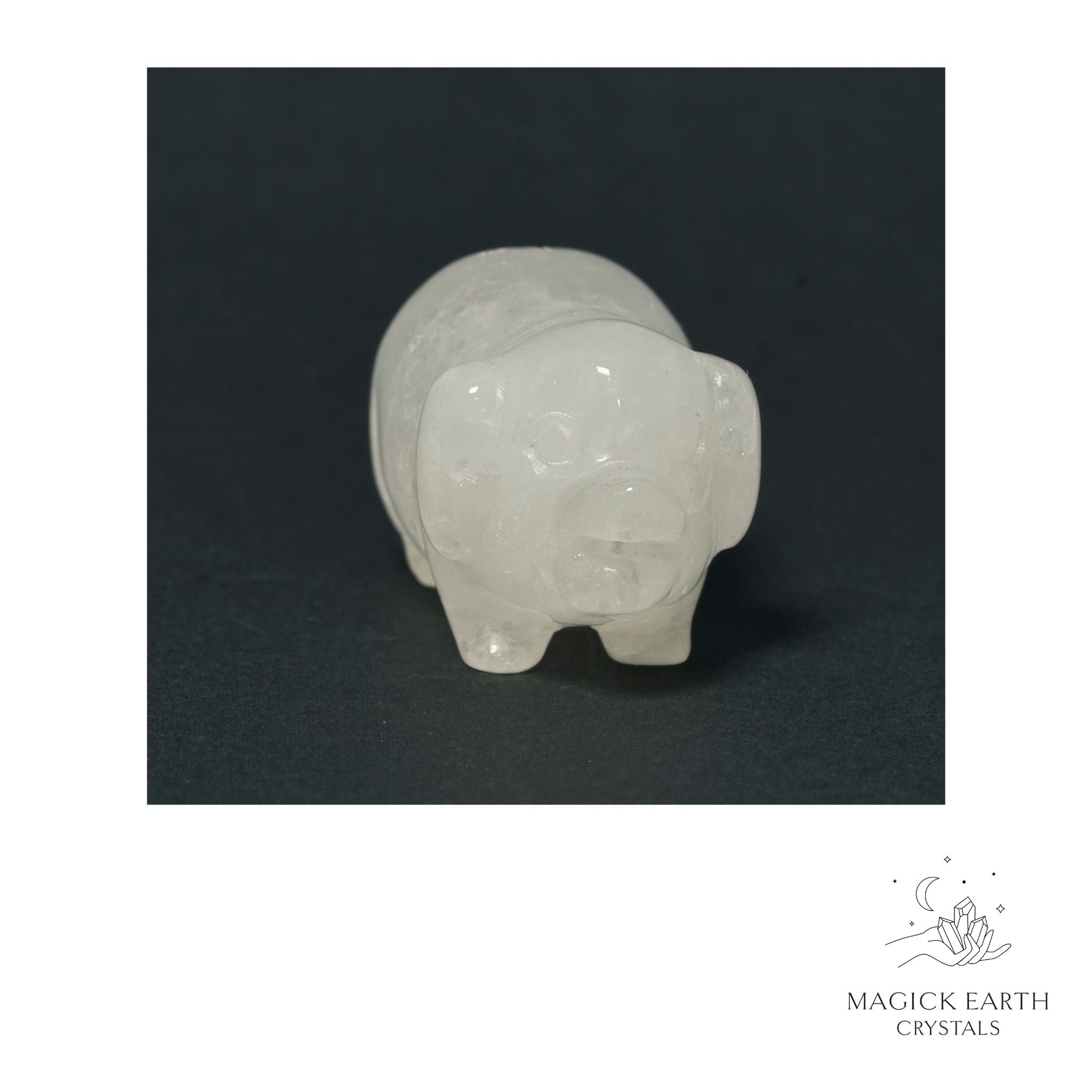Natural Clear Quartz crystal pig figurine view c