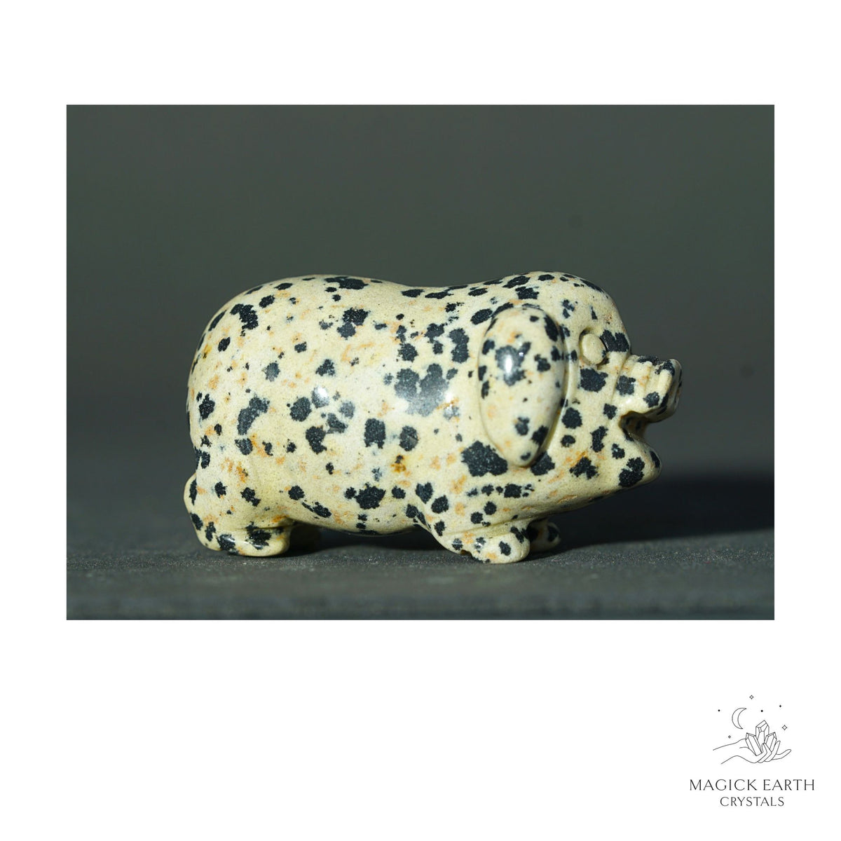 Natural Dalmatian Jasper crystal pig figurine view a