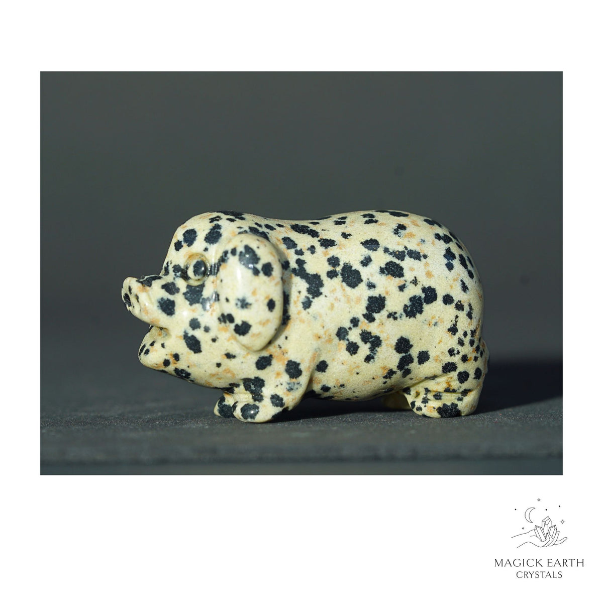 Natural Dalmatian Jasper crystal pig figurine view b