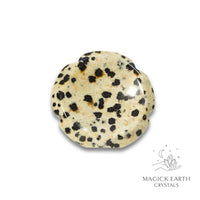 Natural Dalmatian Jasper flower thumb stone view b