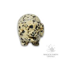 Natural Dalmatian Jasper crystal pig figurine view c