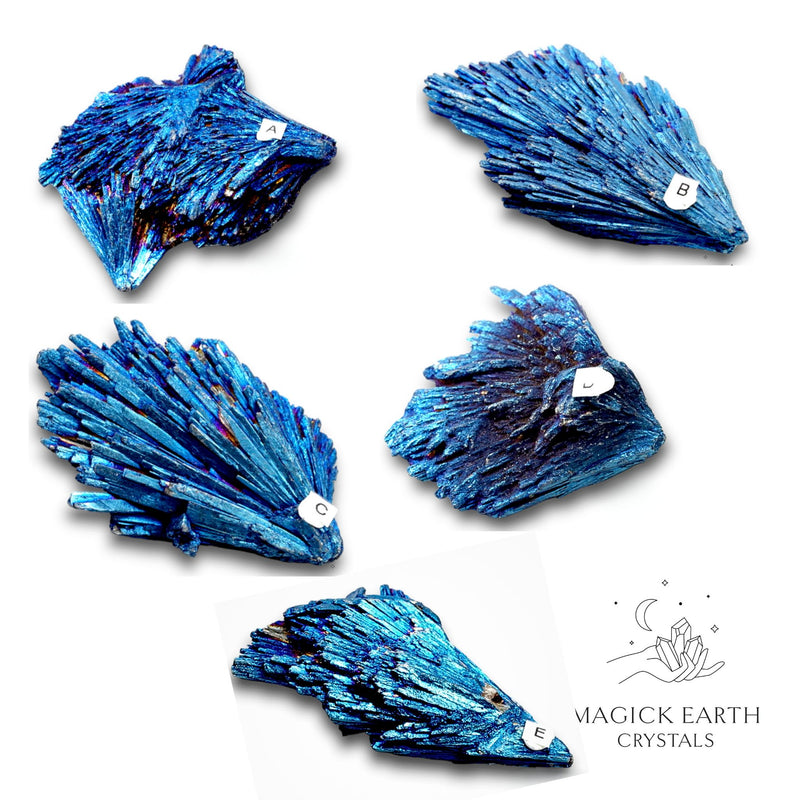 Electroplated Black Kyanite Fans with Blue Finish for No Nonsense Protection