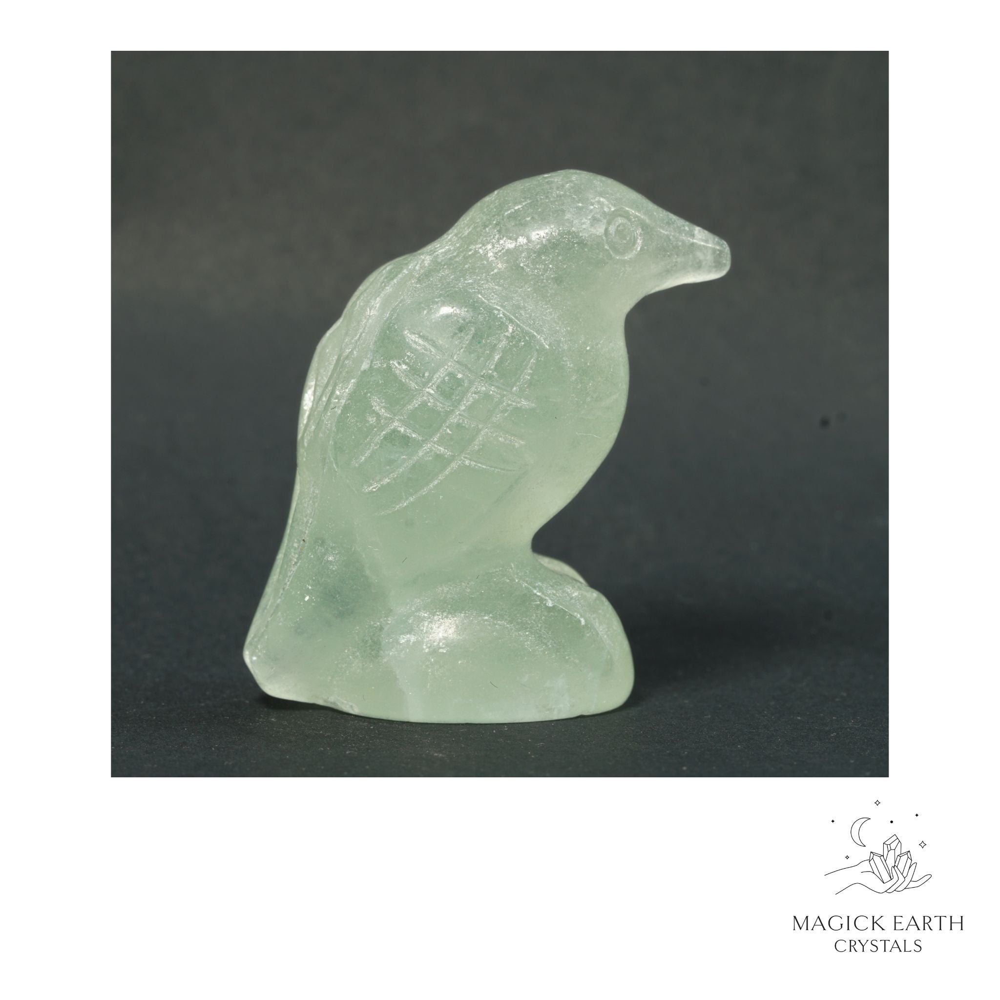Natural Fluorite crow figurine view a