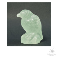 Natural Fluorite crow figurine view b