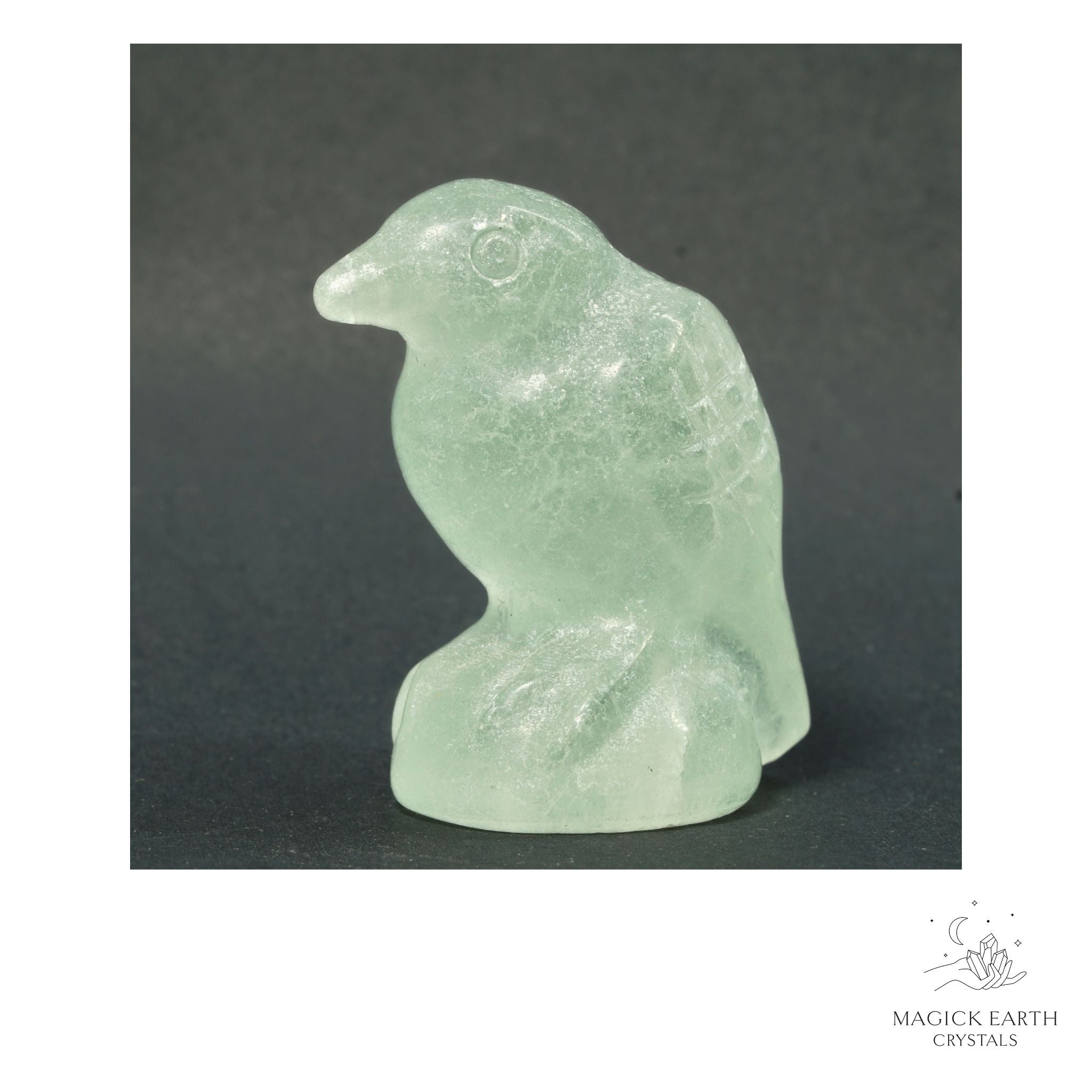 Natural Fluorite crow figurine view b