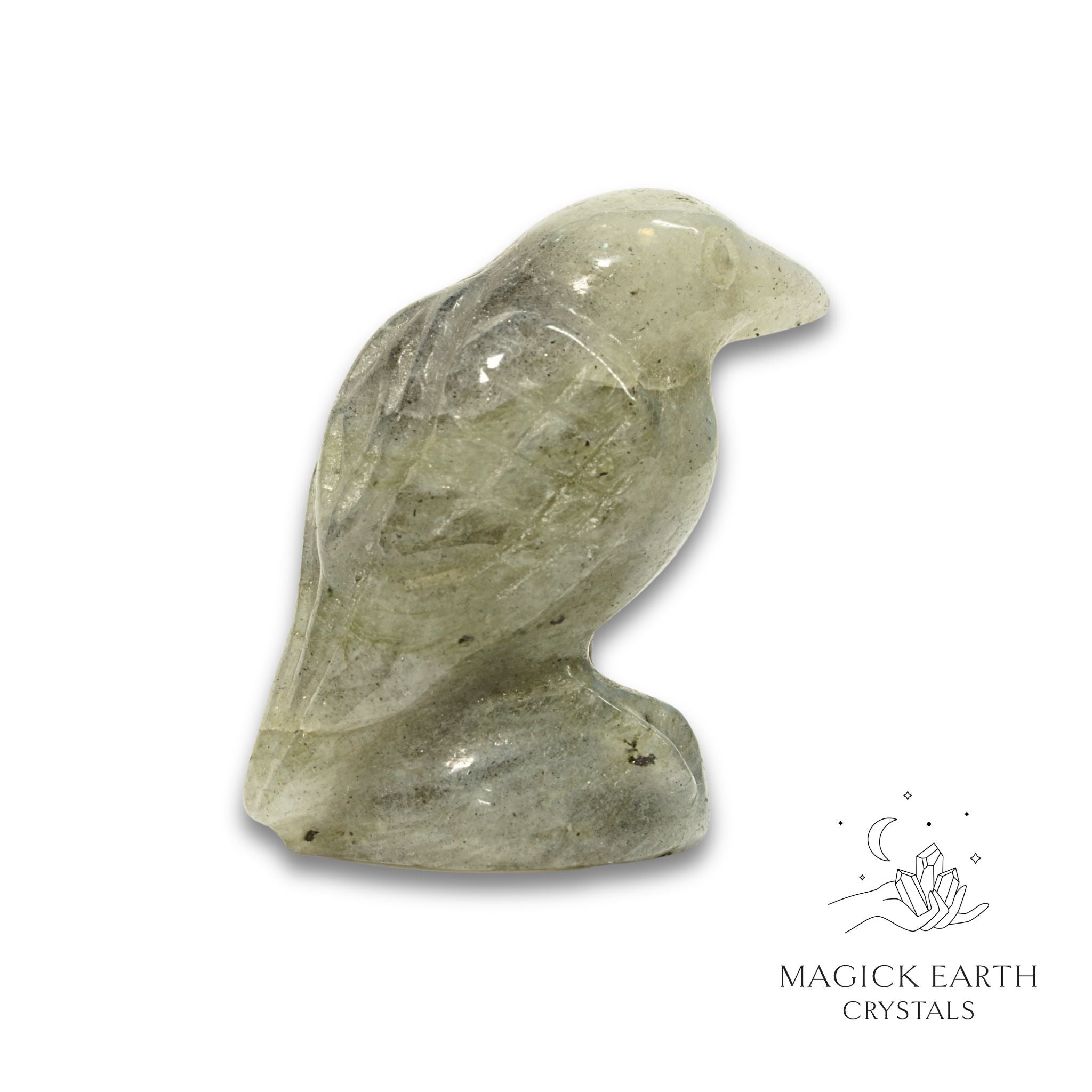 Natural Labradorite crow figurine view a