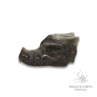 Natural Silver Sheen Obsidian crystal dragon skull view b