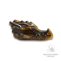 Natural Tiger Eye crystal dragon skull view c