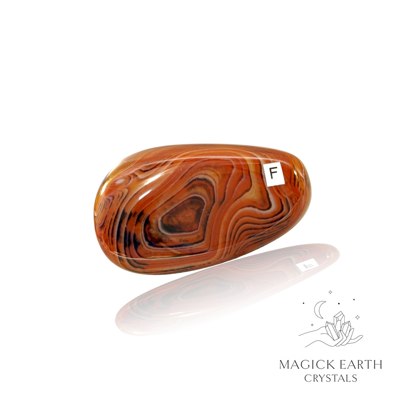 Agate Freeform Medium F