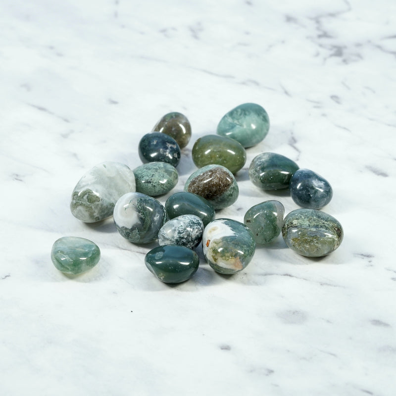 Moss Agate Tumbled Crystals