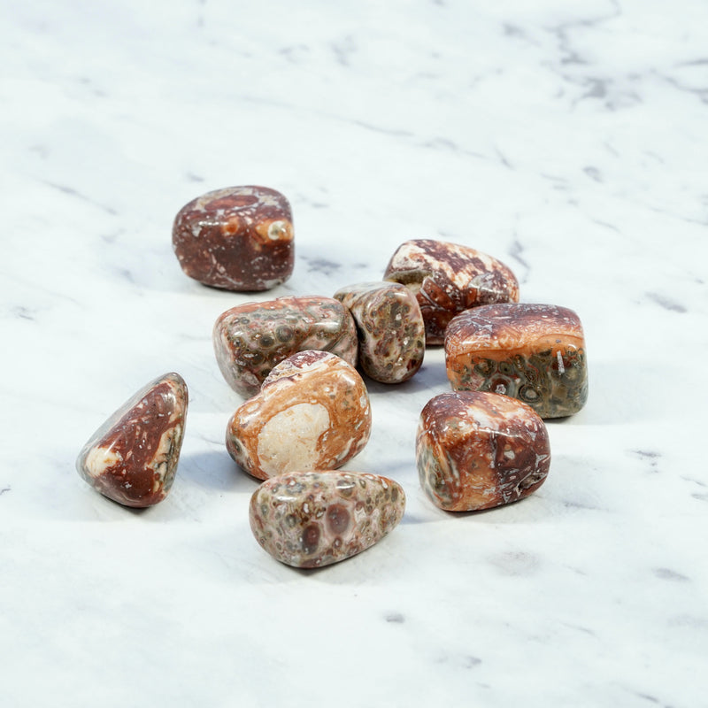 Leopard Skin Jasper Tumbled Crystals