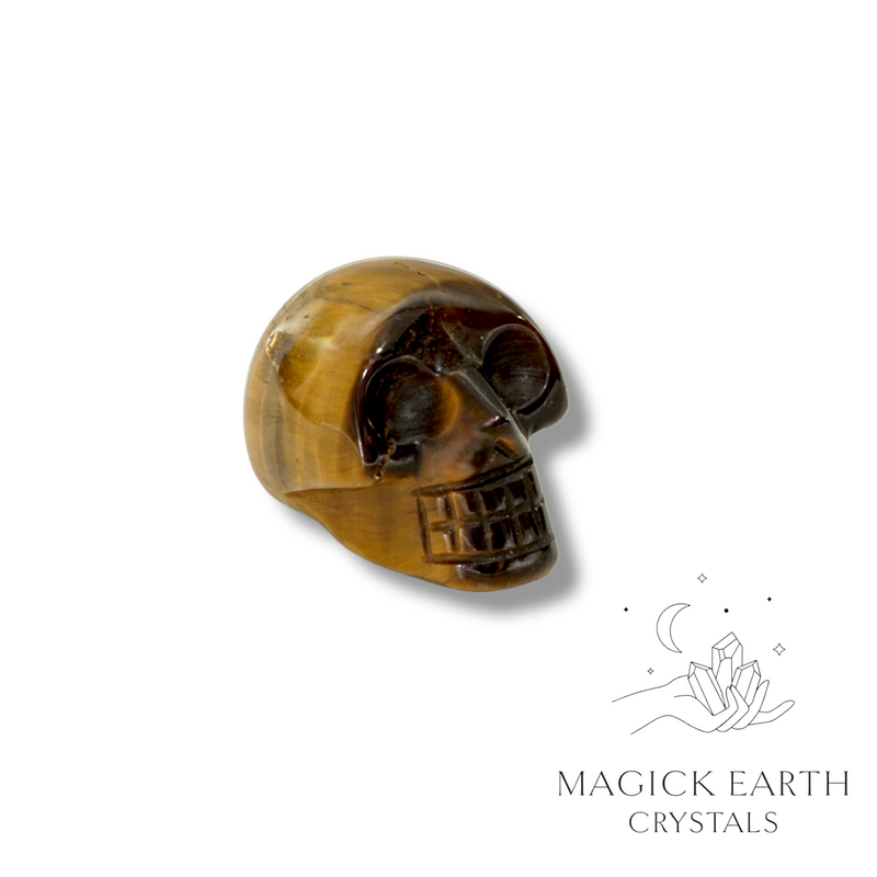 Tiger Eye Crystal Gemstone Carved Tiny  Skull Left View