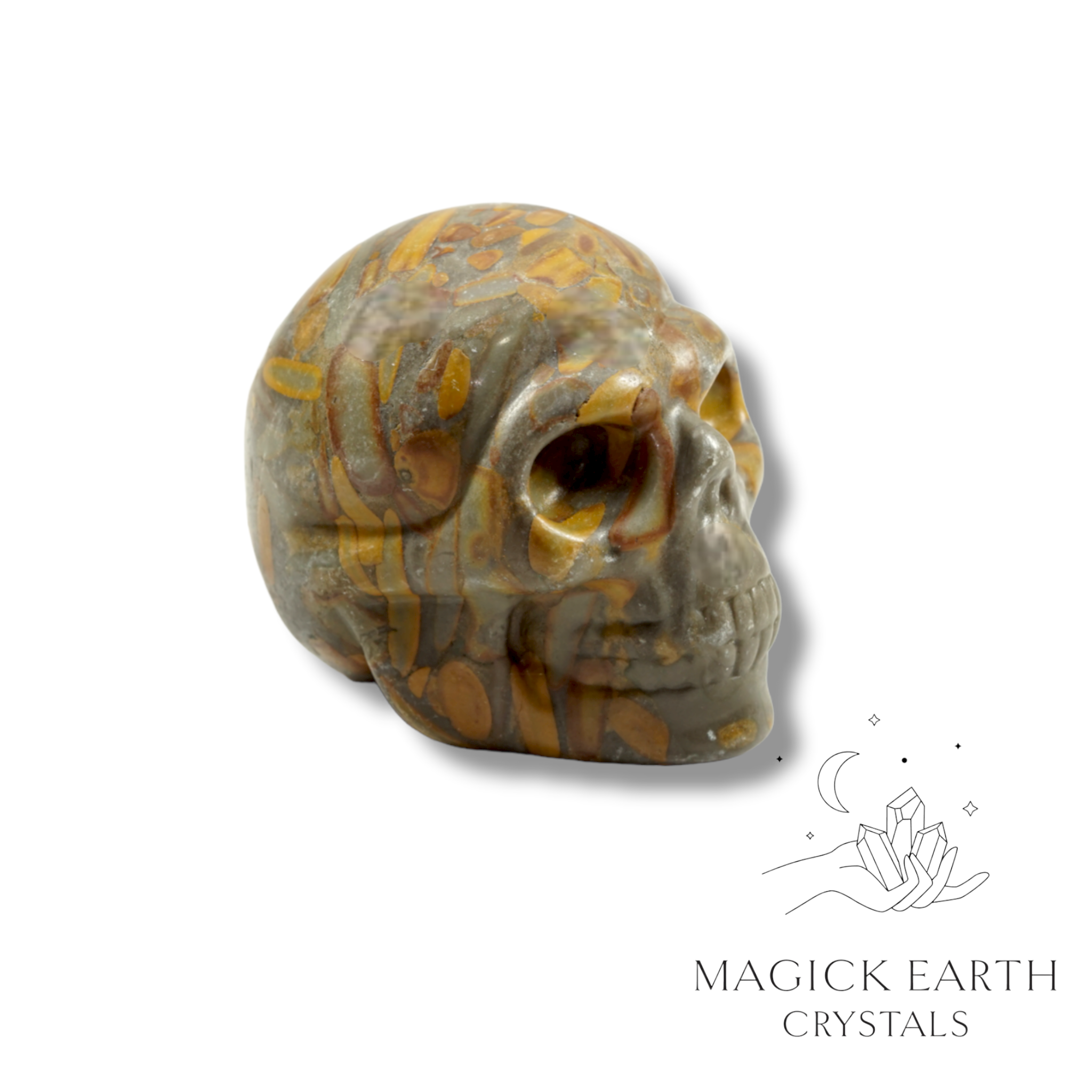 Natural Bamboo Jasper crystal skull view a