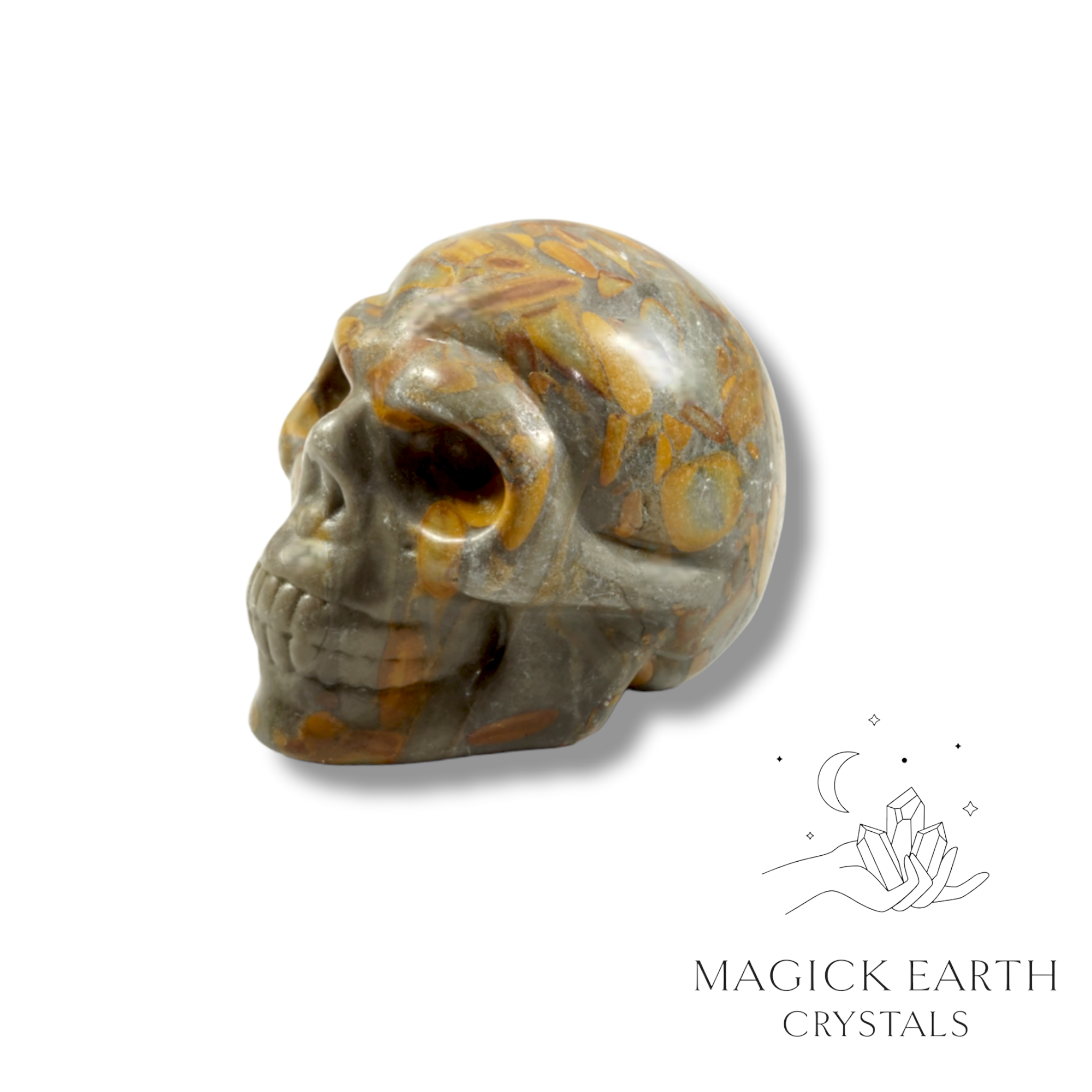 Bamboo Leaf Jasper Skull  left view