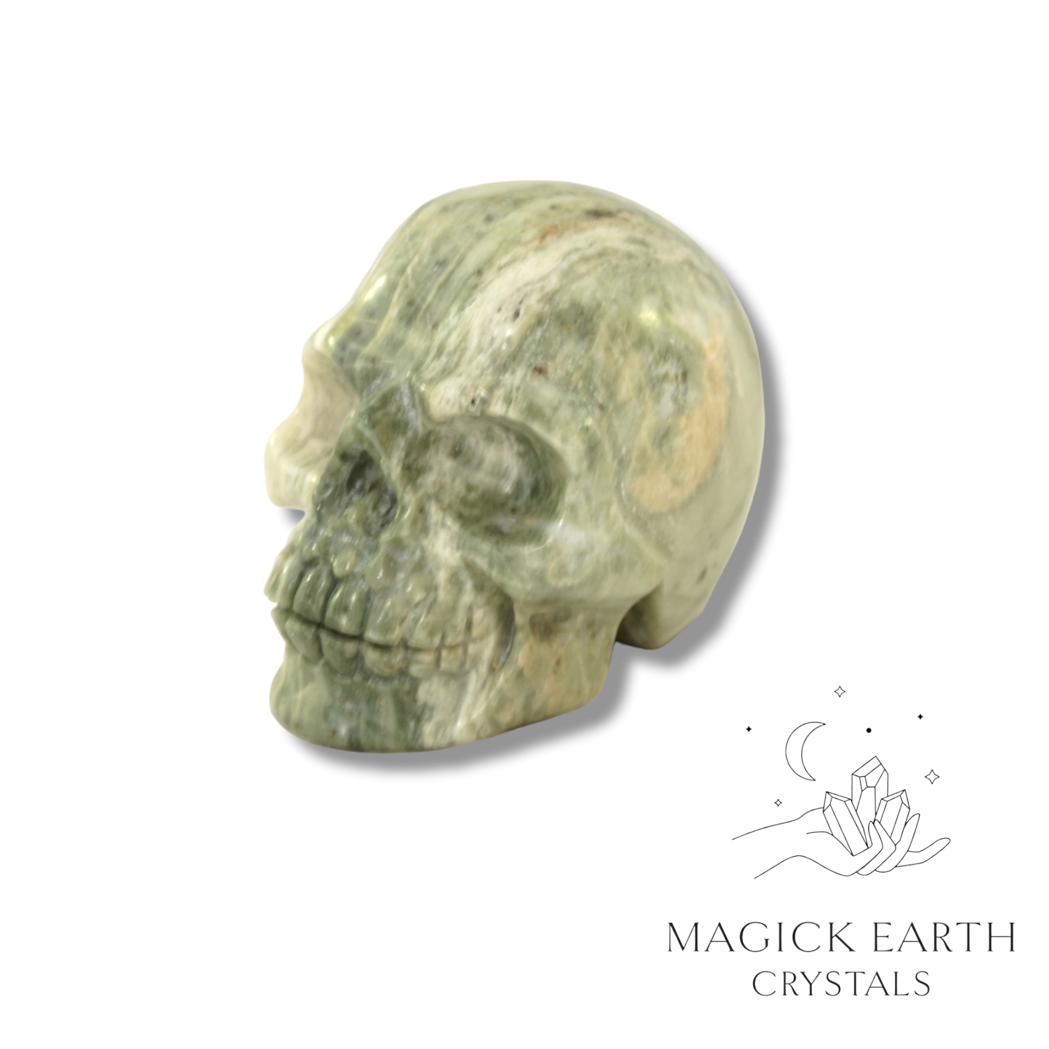 Silver Leaf Jasper Carved Skull left view