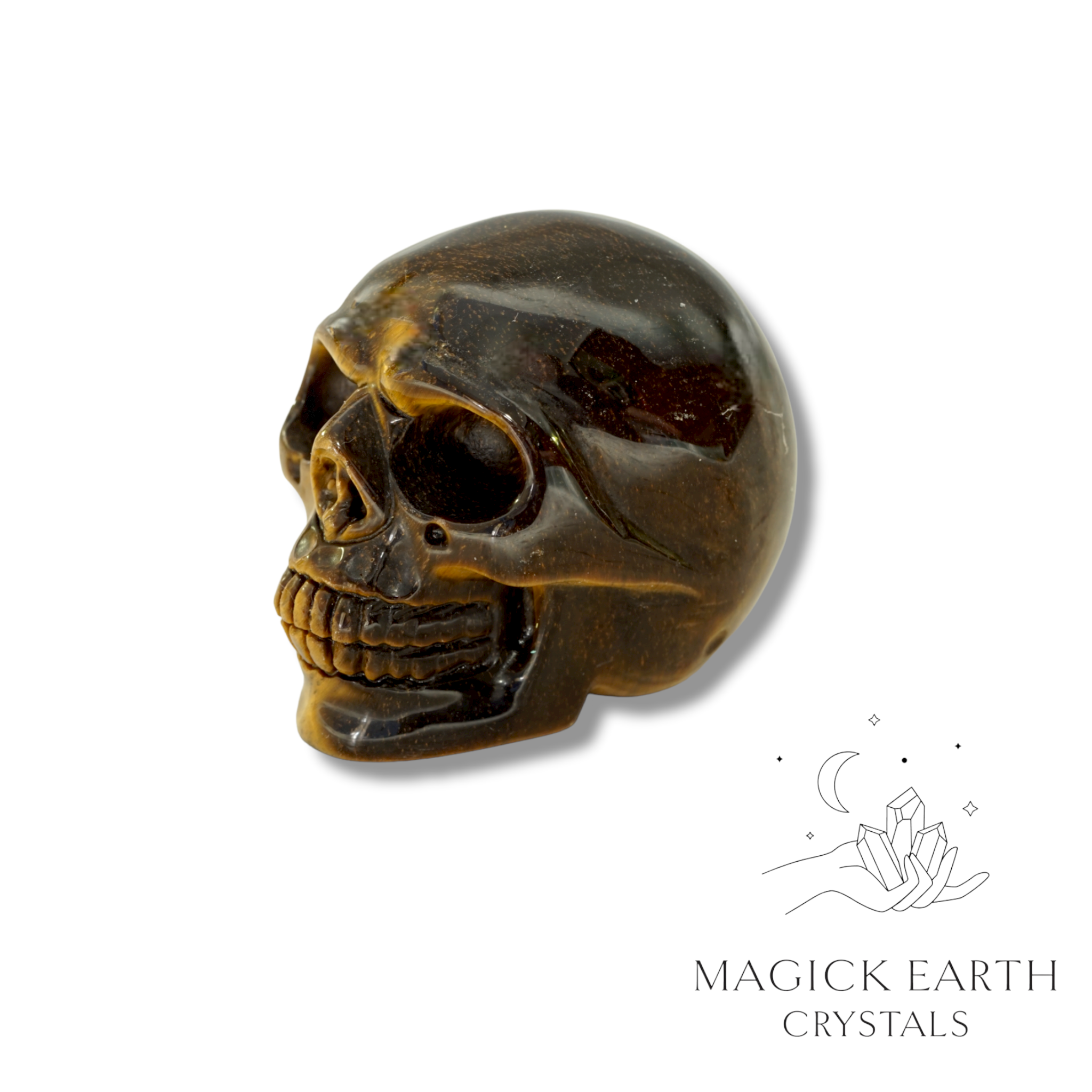 Tiger Eye Carved Skull left view
